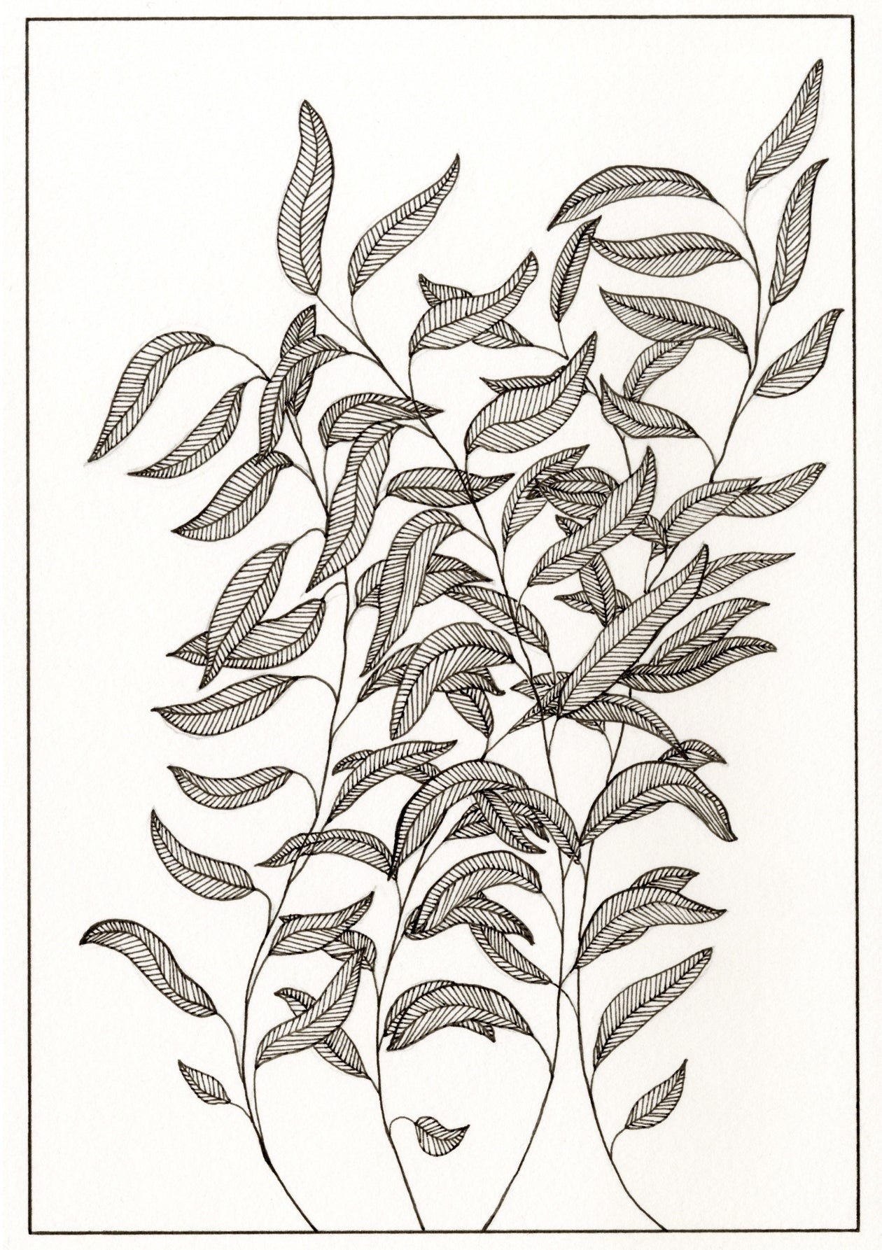 Lined Leaves – Open Edition Archival Monochrome Ink Print