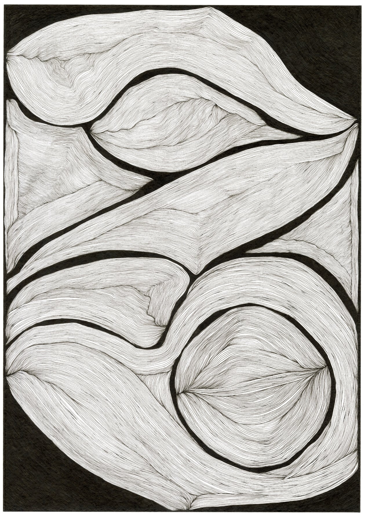 Lines Intertwined – Limited Edition Archival Monochrome Ink Print