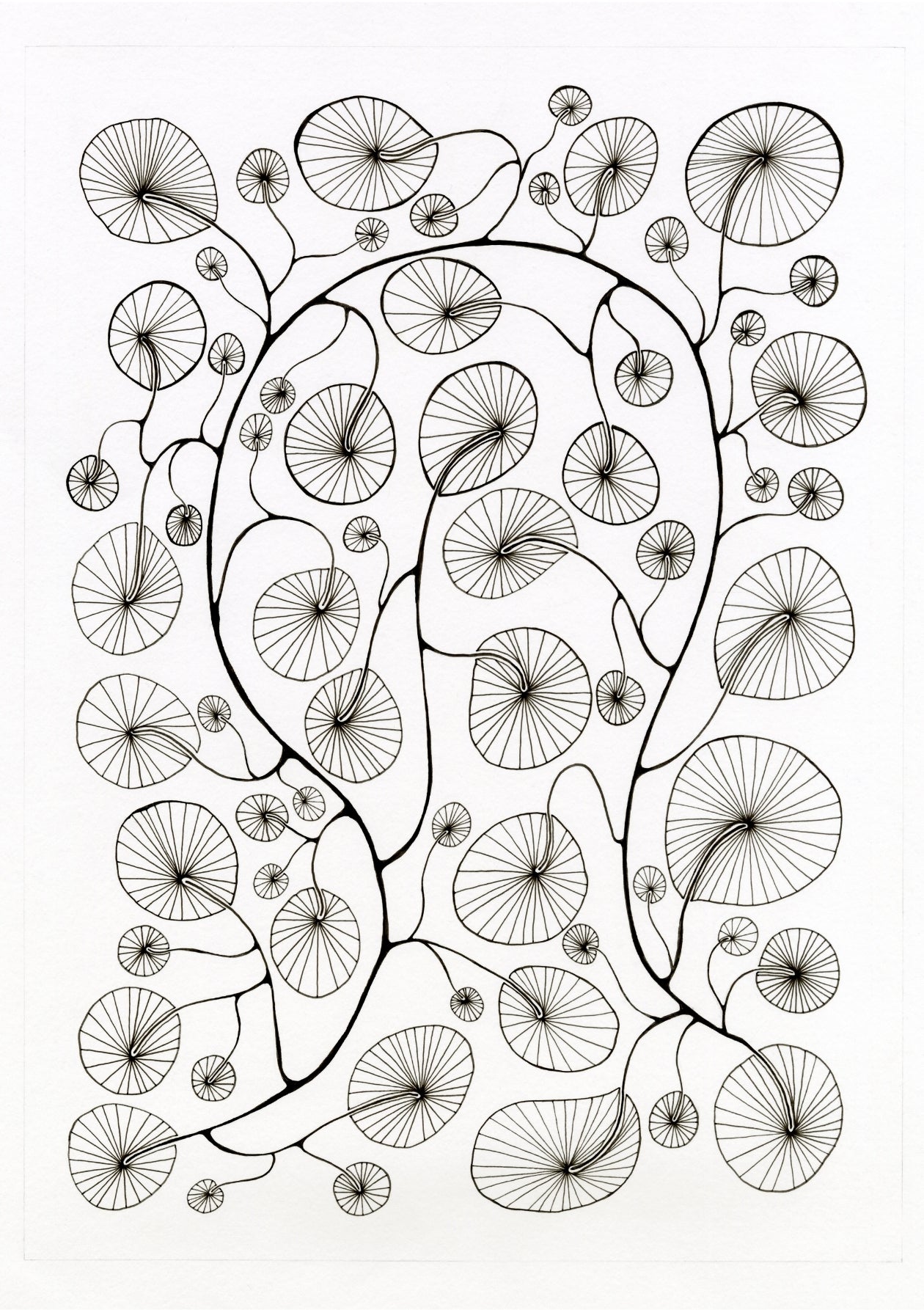 Fanned Fronds – Open Edition Archival Monochrome Ink Print